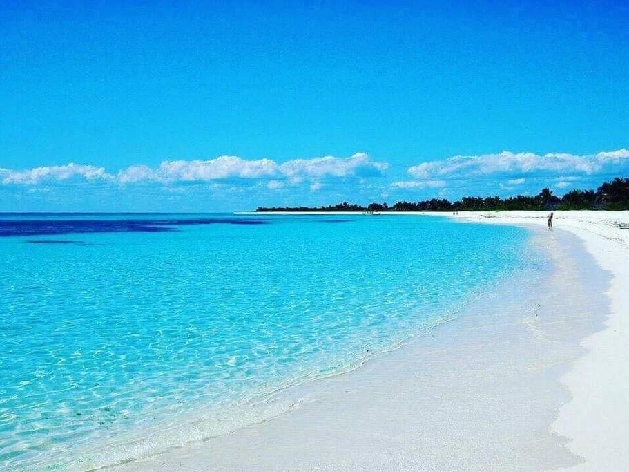 شقة Les Pieds Dans L'Eau Chez Syl لو مول المظهر الخارجي الصورة