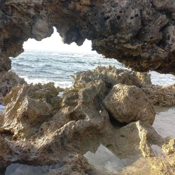 شقة Les Pieds Dans L'Eau Chez Syl لو مول المظهر الخارجي الصورة