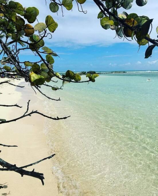 شقة Les Pieds Dans L'Eau Chez Syl لو مول المظهر الخارجي الصورة